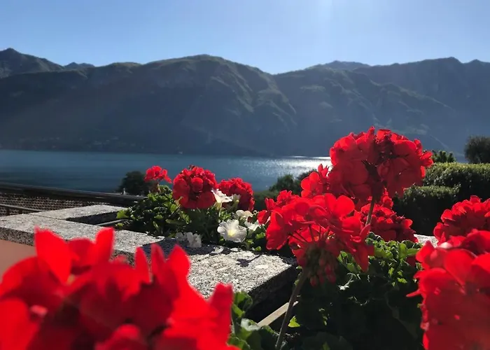 Angelina's House With View - *